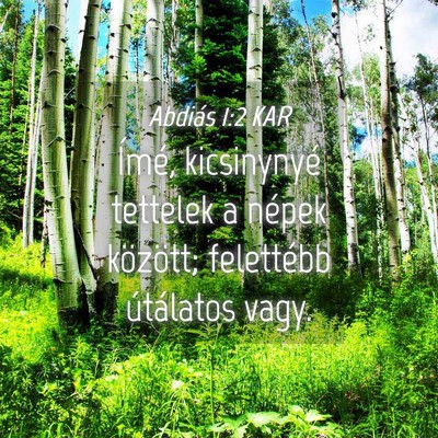Picture 04 - Abdiás 1:2 KAR - Ímé, kicsinynyé tettelek a népek között; - Bible Verse Picture