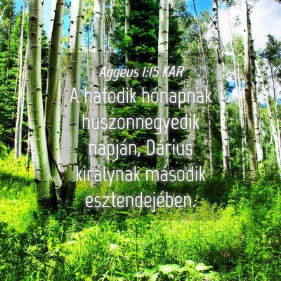 Picture 04 - Aggeus 1:15 KAR - A hatodik hónapnak huszonnegyedik napján, - Bible Verse Picture