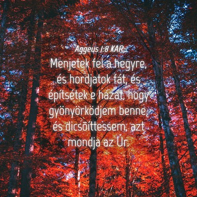Picture 04 - Aggeus 1:8 KAR - Menjetek fel a hegyre, és hordjatok fát, és - Bible Verse Picture