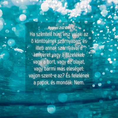 Picture 04 - Aggeus 2:12 KAR - Ha szentelt húst visz valaki az õ köntösének - Bible Verse Picture