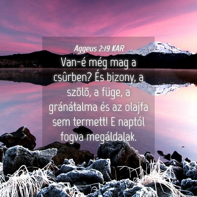 Picture 04 - Aggeus 2:19 KAR - Van-é még mag a csûrben? És bizony, a - Bible Verse Picture