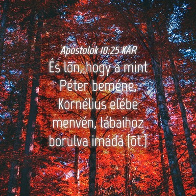 Picture 04 - Apostolok 10:25 KAR - És lõn, hogy a mint Péter beméne, Kornélius - Bible Verse Picture