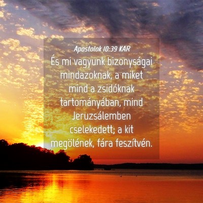 Picture 04 - Apostolok 10:39 KAR - És mi vagyunk bizonyságai mindazoknak, a miket - Bible Verse Picture