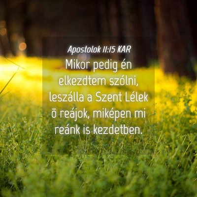 Picture 04 - Apostolok 11:15 KAR - Mikor pedig én elkezdtem szólni, leszálla a - Bible Verse Picture