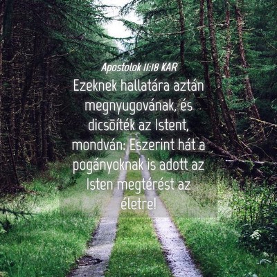 Picture 04 - Apostolok 11:18 KAR - Ezeknek hallatára aztán megnyugovának, és - Bible Verse Picture