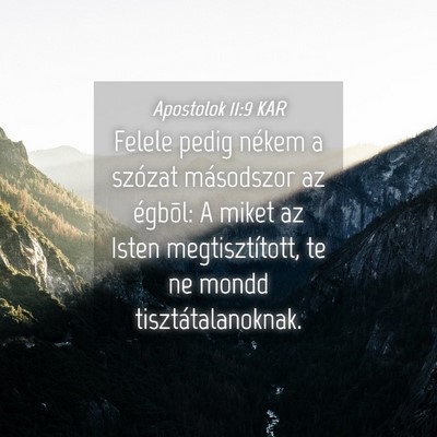 Picture 04 - Apostolok 11:9 KAR - Felele pedig nékem a szózat másodszor az - Bible Verse Picture