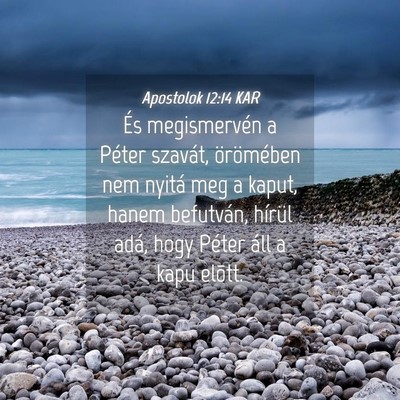 Picture 04 - Apostolok 12:14 KAR - És megismervén a Péter szavát, örömében - Bible Verse Picture