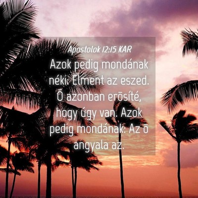 Picture 04 - Apostolok 12:15 KAR - Azok pedig mondának néki: Elment az eszed. Õ - Bible Verse Picture