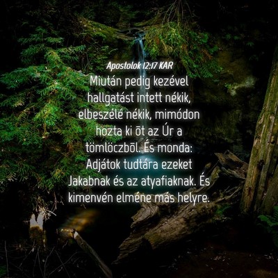 Picture 04 - Apostolok 12:17 KAR - Miután pedig kezével hallgatást intett nékik, - Bible Verse Picture