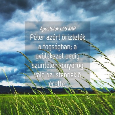 Picture 04 - Apostolok 12:5 KAR - Péter azért õrizteték a fogságban; a - Bible Verse Picture