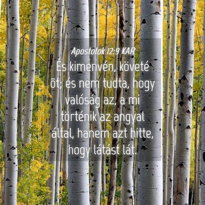 Picture 04 - Apostolok 12:9 KAR - És kimenvén, követé õt; és nem tudta, hogy - Bible Verse Picture