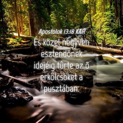 Picture 04 - Apostolok 13:18 KAR - És közel negyven esztendõnek idejéig tûrte - Bible Verse Picture