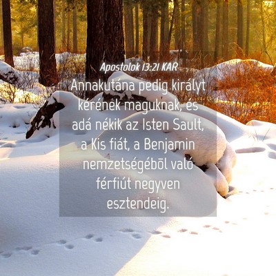 Picture 04 - Apostolok 13:21 KAR - Annakutána pedig királyt kérének maguknak, - Bible Verse Picture