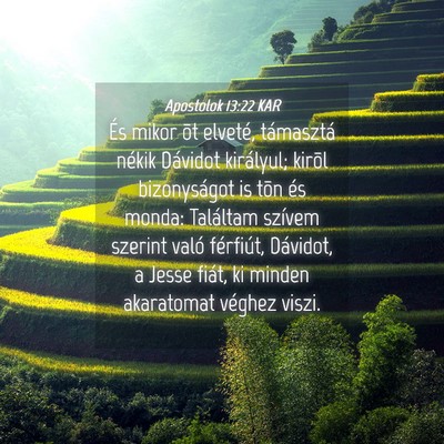 Picture 04 - Apostolok 13:22 KAR - És mikor õt elveté, támasztá nékik Dávidot - Bible Verse Picture