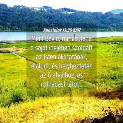 Picture 04 - Apostolok 13:36 KAR - Mert Dávid, minekutána a saját idejében - Bible Verse Picture