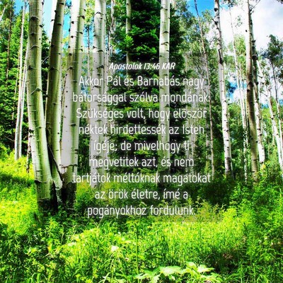 Picture 04 - Apostolok 13:46 KAR - Akkor Pál és Barnabás nagy bátorsággal - Bible Verse Picture