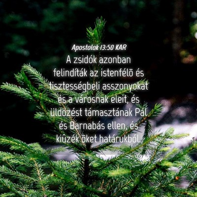 Picture 04 - Apostolok 13:50 KAR - A zsidók azonban felindíták az istenfélõ és - Bible Verse Picture