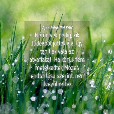 Picture 04 - Apostolok 15:1 KAR - Némelyek pedig, kik Júdeából jöttek alá, - Bible Verse Picture