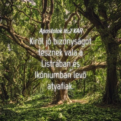 Picture 04 - Apostolok 16:2 KAR - Kirõl jó bizonyságot tesznek vala a Listrában - Bible Verse Picture