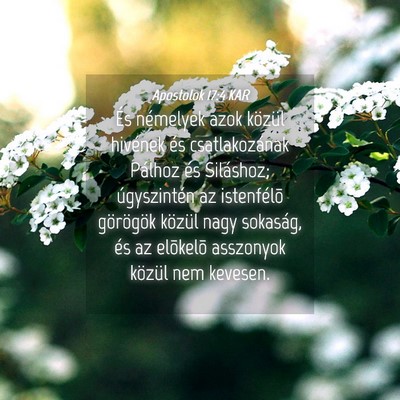 Picture 04 - Apostolok 17:4 KAR - És némelyek azok közül hivének és - Bible Verse Picture