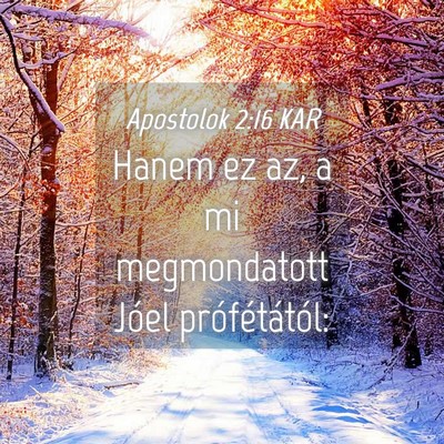 Picture 04 - Apostolok 2:16 KAR - Hanem ez az, a mi megmondatott Jóel - Bible Verse Picture