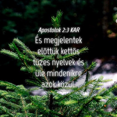 Picture 04 - Apostolok 2:3 KAR - És megjelentek elõttük kettõs tüzes nyelvek - Bible Verse Picture