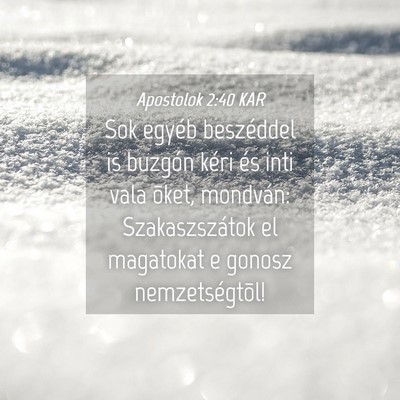 Picture 04 - Apostolok 2:40 KAR - Sok egyéb beszéddel is buzgón kéri és inti - Bible Verse Picture