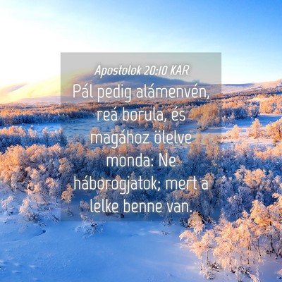Picture 04 - Apostolok 20:10 KAR - Pál pedig alámenvén, reá borula, és magához - Bible Verse Picture