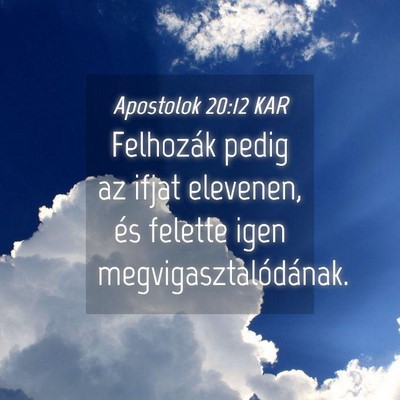 Picture 04 - Apostolok 20:12 KAR - Felhozák pedig az ifjat elevenen, és felette - Bible Verse Picture