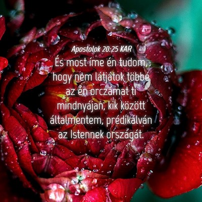 Picture 04 - Apostolok 20:25 KAR - És most íme én tudom, hogy nem látjátok - Bible Verse Picture