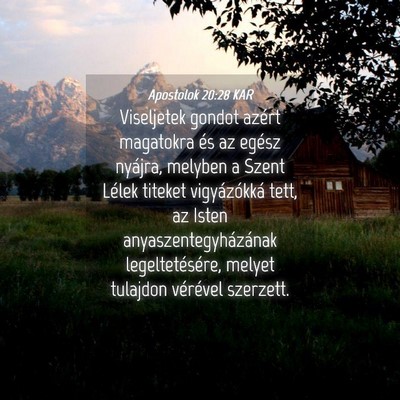 Picture 04 - Apostolok 20:28 KAR - Viseljetek gondot azért magatokra és az egész - Bible Verse Picture