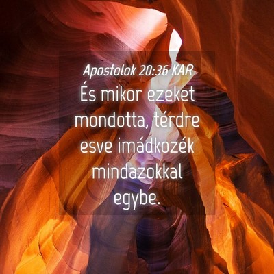 Picture 04 - Apostolok 20:36 KAR - És mikor ezeket mondotta, térdre esve - Bible Verse Picture