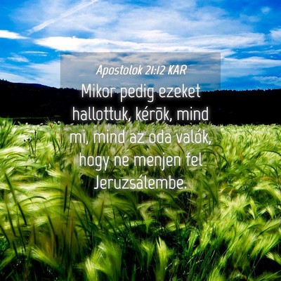 Picture 04 - Apostolok 21:12 KAR - Mikor pedig ezeket hallottuk, kérõk, mind mi, - Bible Verse Picture