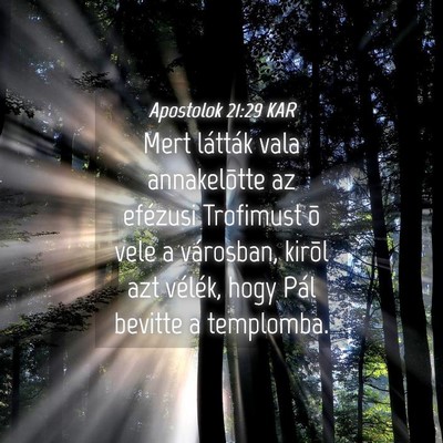 Picture 04 - Apostolok 21:29 KAR - Mert látták vala annakelõtte az efézusi - Bible Verse Picture