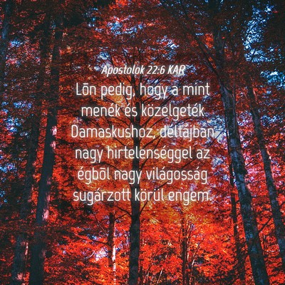 Picture 04 - Apostolok 22:6 KAR - Lõn pedig, hogy a mint menék és közelgeték - Bible Verse Picture