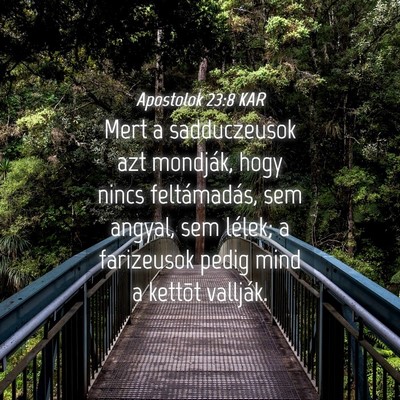 Picture 04 - Apostolok 23:8 KAR - Mert a sadduczeusok azt mondják, hogy nincs - Bible Verse Picture