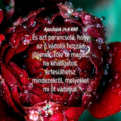 Picture 04 - Apostolok 24:8 KAR - És azt parancsolá, hogy az õ vádolói hozzád - Bible Verse Picture