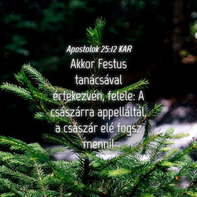 Picture 04 - Apostolok 25:12 KAR - Akkor Festus tanácsával értekezvén, felele: A - Bible Verse Picture