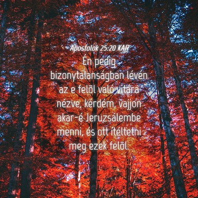 Picture 04 - Apostolok 25:20 KAR - Én pedig bizonytalanságban lévén az e felõl - Bible Verse Picture
