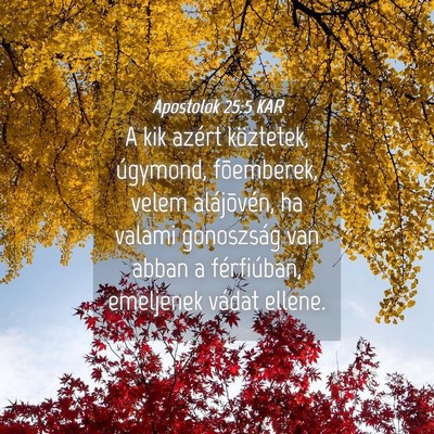 Picture 04 - Apostolok 25:5 KAR - A kik azért köztetek, úgymond, fõemberek, - Bible Verse Picture