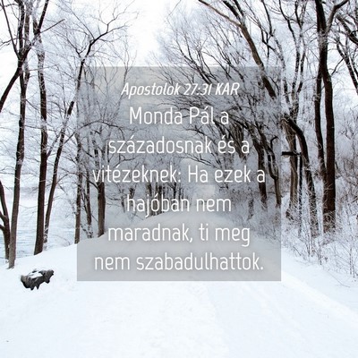 Picture 04 - Apostolok 27:31 KAR - Monda Pál a századosnak és a vitézeknek: Ha - Bible Verse Picture
