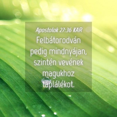 Picture 04 - Apostolok 27:36 KAR - Felbátorodván pedig mindnyájan, szintén - Bible Verse Picture