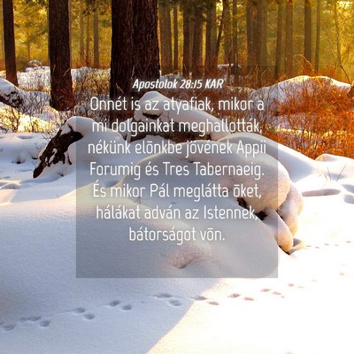 Picture 04 - Apostolok 28:15 KAR - Onnét is az atyafiak, mikor a mi dolgainkat - Bible Verse Picture
