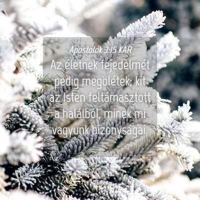 Picture 04 - Apostolok 3:15 KAR - Az életnek fejedelmét pedig megölétek; kit az - Bible Verse Picture