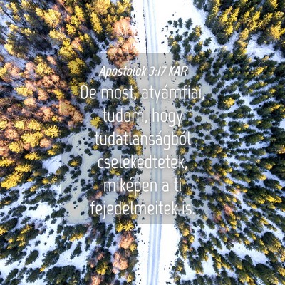 Picture 04 - Apostolok 3:17 KAR - De most, atyámfiai, tudom, hogy tudatlanságból - Bible Verse Picture