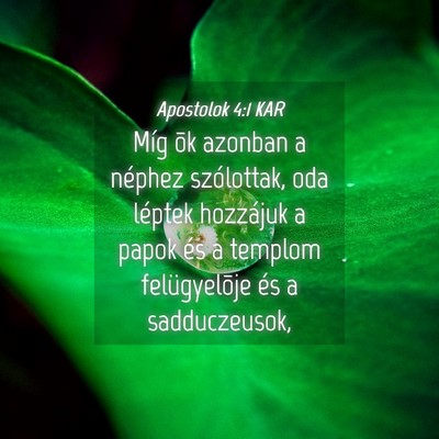 Picture 04 - Apostolok 4:1 KAR - Míg õk azonban a néphez szólottak, oda - Bible Verse Picture