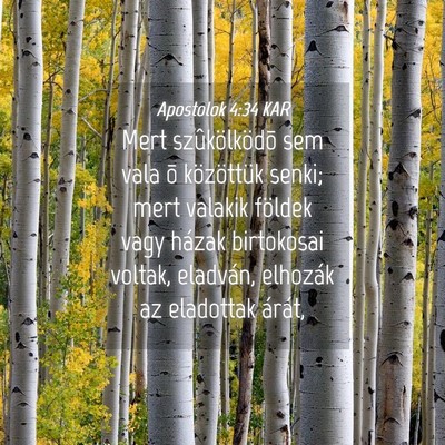 Picture 04 - Apostolok 4:34 KAR - Mert szûkölködõ sem vala õ közöttük - Bible Verse Picture