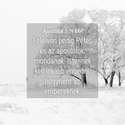 Picture 04 - Apostolok 5:29 KAR - Felelvén pedig Péter és az apostolok, - Bible Verse Picture