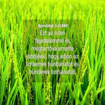 Picture 04 - Apostolok 5:31 KAR - Ezt az Isten fejedelemmé és megtartóvá emelte - Bible Verse Picture