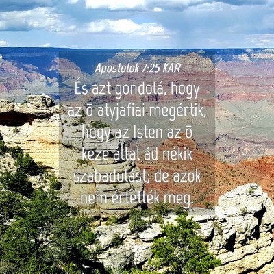 Picture 04 - Apostolok 7:25 KAR - És azt gondolá, hogy az õ atyjafiai megértik, - Bible Verse Picture